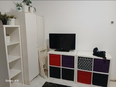 Pantelimon, Spital, parc